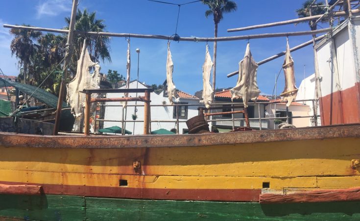 Baia de Camara de Lobos